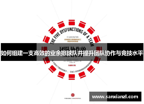 如何组建一支高效的业余排球队并提升团队协作与竞技水平